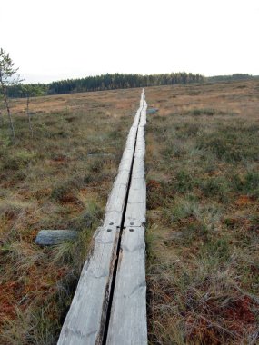 Alanın ortasındaki tahta parçalarından çok dar bir patikanın dikey görüntüsü.