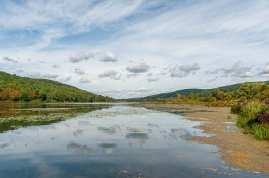 Mavi parlak gökyüzünün altında yoğun sonbahar ağaçlarıyla çevrili güzel bir yeşil göl manzarası.