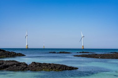 Jeju Adası, Güney Kore 'nin tropikal kıyısındaki yel değirmenleri..