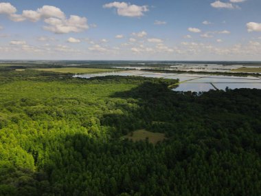 Gökyüzü manzarası yemyeşil, sık, çam ağacı ormanı ve uzak bir göl.