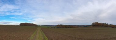 Güneşli bir günde güzel bir ormanın manzarası