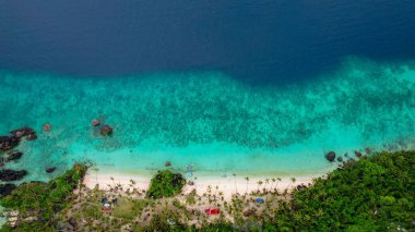 Filipinler 'de turkuaz okyanus suyu ve yüksek ağaçlarla dolu güzel bir tropikal plajın hava manzarası.