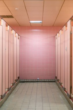 Tayvan 'ın Taipei kentindeki bir tren istasyonundaki fayanslı pembe kadın tuvaletinin dikey görüntüsü.