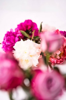 Beyaz arka planda bir grup renkli şakayığın dikey yakın çekimi.