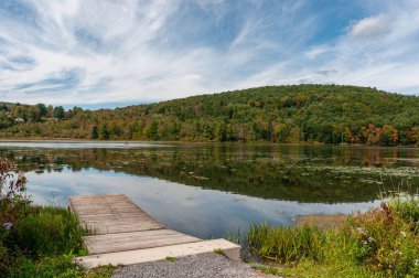 Mavi parlak gökyüzünün altında yoğun sonbahar ağaçlarıyla çevrili güzel bir yeşil göl manzarası.