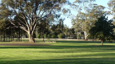 Bahçedeki yeşil çimlerin panoramik görüntüsü ve ulusal parktaki mavi gökyüzünün altındaki ağaçlar.