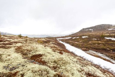 Eriyen karların içinde vahşi bir manzarayla çevrili bir nehir manzarası..