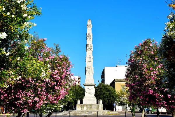 Vista Árboles Con Flores Rosas Blancas Lecce Con Arquitectura Barroca — Foto de Stock