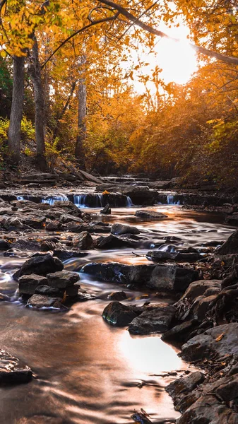 Eine Vertikale Aufnahme Eines Schönen Sees Der Herbst Durch Den — Stockfoto