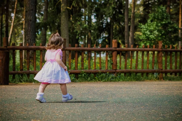 一个2岁小女孩在森林附近的公园里的特写镜头 — 图库照片