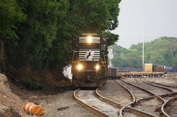Comboio Mercadorias Com Faróis Acesos Passa Perto Uma Floresta Verde — Fotografia de Stock
