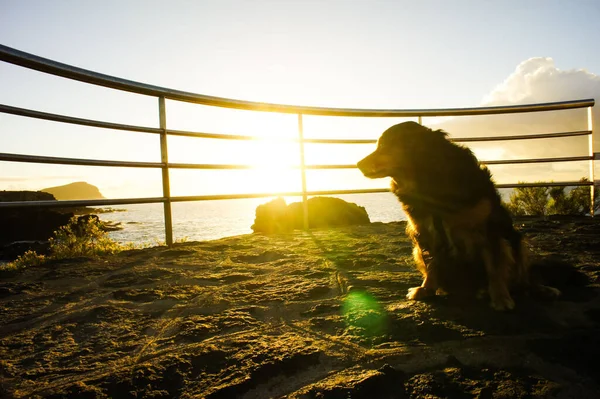 Sonnenaufgang Auf Einem Pier Über Dem Atlantik Auf Teneriffa Kanarische — Stockfoto