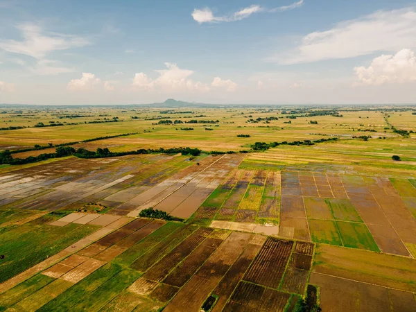 Una Vista Impresionante Los Campos Filipinas — Foto de Stock