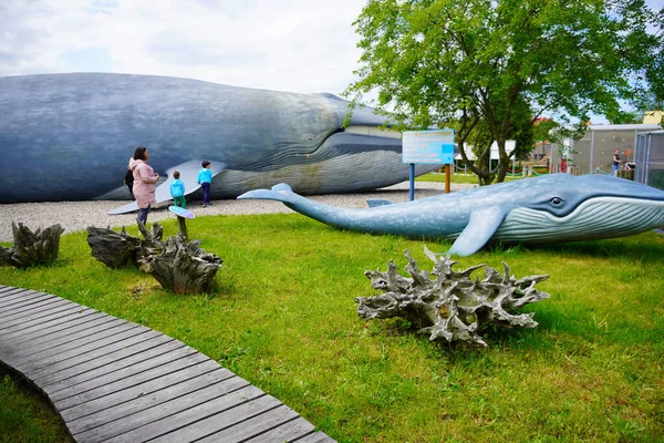 Een Houten Voetpad Naast Blauwe Walvis Modellen Het Park Wieloryba — Stockfoto