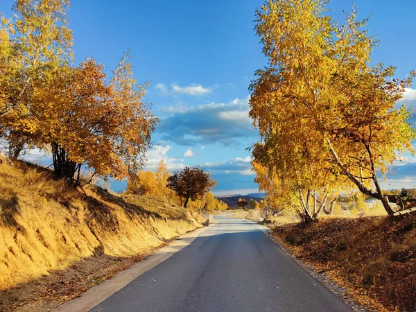Güneşli Bir Günde Sonbahar Ağaçları Arasında Asfalt Bir Yolun Manzarası — Stok fotoğraf