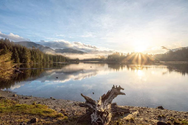 Krásný Záběr Malé Jezero Slunečného Dne — Stock fotografie