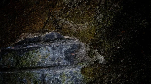 Nahaufnahme Einer Grunge Texturierten Dunklen Bemoosten Wand — Stockfoto