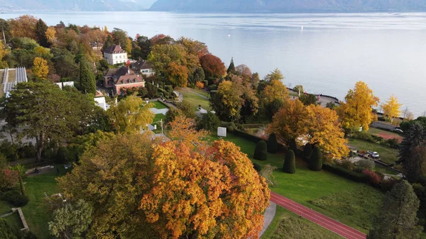 A bird\'s eye view of the Denantou Park against the blue sea in Lausanne, Switzerland