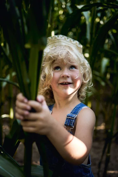 Ein Entzückendes Kaukasisches Blondes Mädchen Mit Hut Einem Maisfeld — Stockfoto