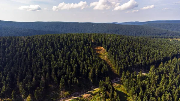 Вид Воздуха Тюрингский Лес Густыми Деревьями Германии — стоковое фото
