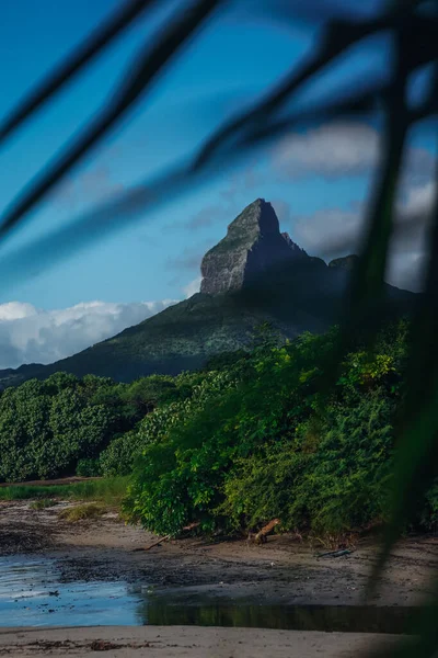 Widok Góry Mauritiusie Liśćmi Palmy — Zdjęcie stockowe
