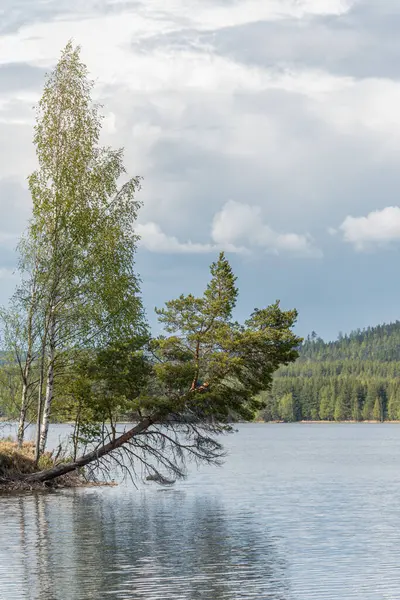 Tiro Vertical Lago Uma Paisagem Natural Suécia — Fotografia de Stock