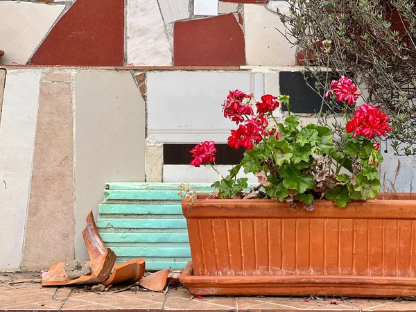 Closeup Flowers Big Flower Pot Broken Pot Side — Stock Photo, Image