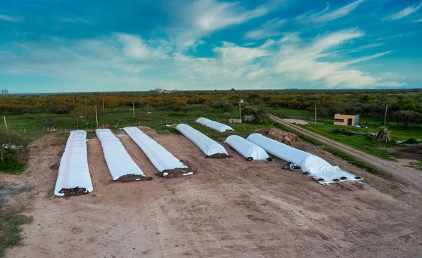 Vista Aerea Diversi Sacchi Silo Sul Campo — Foto Stock