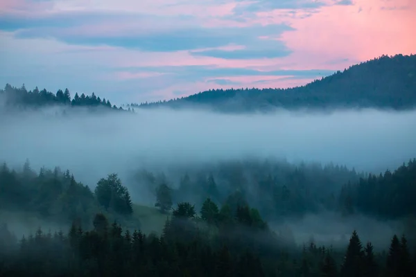 Nebel Über Den Bäumen Den Bergen Der Dämmerung Dämmerung Dunst — Stockfoto