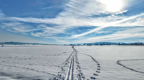 Einige Spuren Auf Einem Schneebedeckten Feld Einem Sonnigen Wintertag — Stockfoto