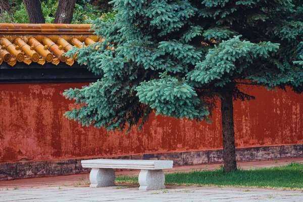 Empty Stone Bench Nearby Pine Trees Garden — Stock Photo, Image