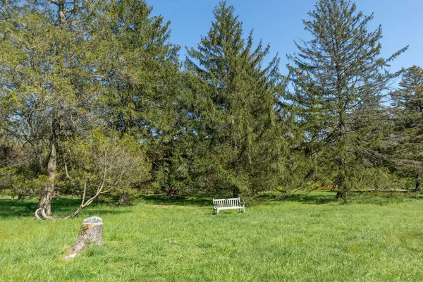 Beau Jardin Verdoyant Avec Grands Arbres Banc Bois Milieu — Photo