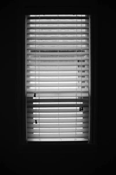 水平窓ブラインドの垂直グレースケールショット — ストック写真