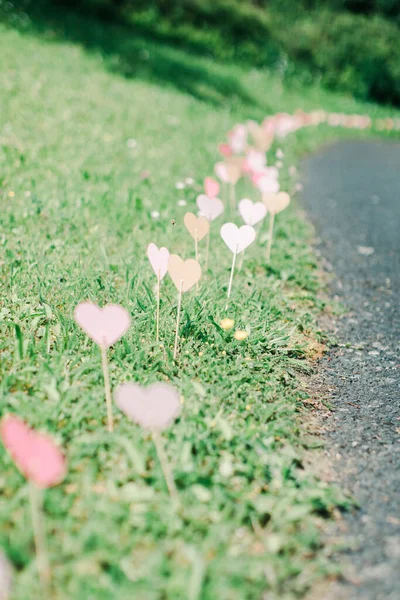 Vertical Shot Pink Pastel Heart Decorations Ground — Stock Photo, Image
