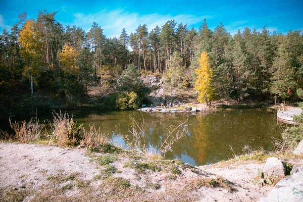 Uma Bela Vista Uma Lagoa Cercada Por Árvores Altas Sob — Fotografia de Stock