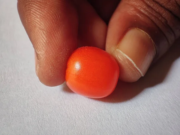 Tiro Close Uma Mão Segurando Tomate Cereja Suculento Vermelho Fresco — Fotografia de Stock