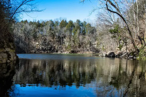 Ein Schöner Blick Auf Einen Ruhigen See Umgeben Von Bäumen — Stockfoto