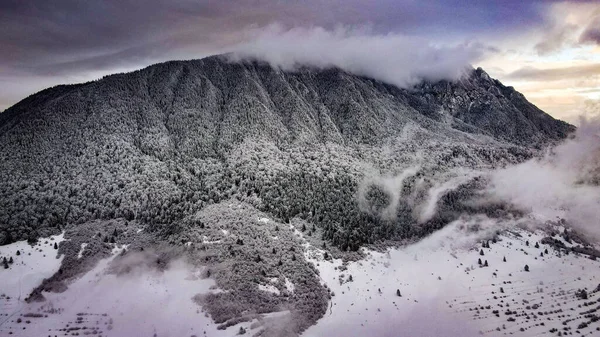 Вид Воздуха Горный Пейзаж Густым Лесом Окружении Снега — стоковое фото