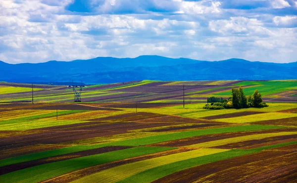 Landschaft Mit Vielen Landwirtschaftlichen Flächen Feld Landwirtschaft Parzellen — Stockfoto