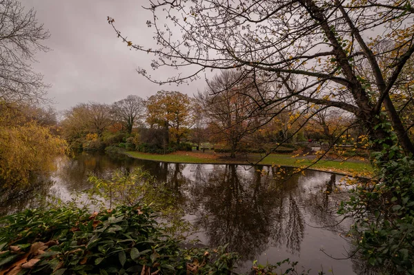 曇り空の公園内の湖に映る紅葉の絶景 — ストック写真