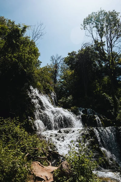 Tiro Vertical Uma Cachoeira Cercada Por Árvores Parque Nacional Krka — Fotografia de Stock