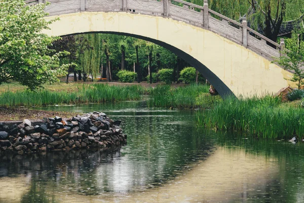 Gün Işığında Yeşil Çimenler Ağaçlarla Dolu Bir Göl Üzerindeki Kemer — Stok fotoğraf