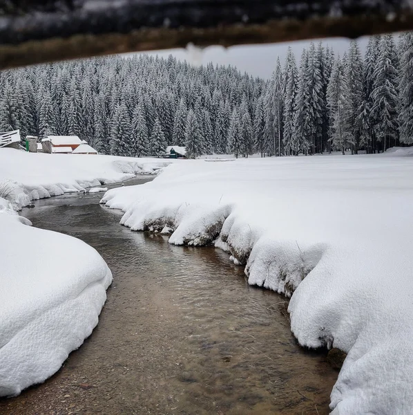 Malowniczy Widok Rzekę Przepływającą Przez Pole Pokryte Śniegiem Przeciwko Lasom — Zdjęcie stockowe