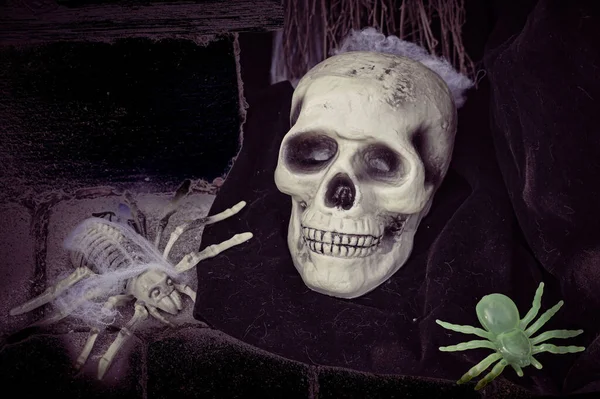 Closeup Scary Creepy Halloween Skull Head Spiders — Stock Photo, Image