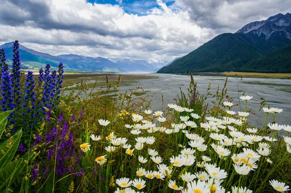 Dağlık Bir Bölgede Göl Kenarındaki Kır Çiçeklerinin Güzel Manzarası — Stok fotoğraf