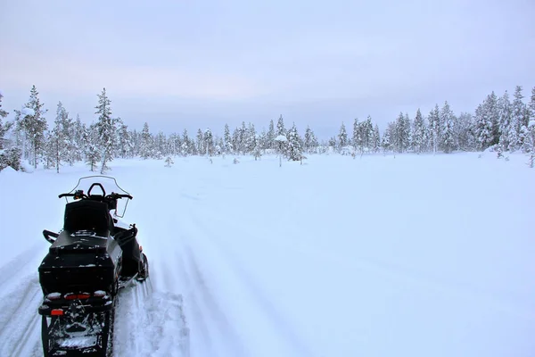 Piękne Ujęcie Skutera Śnieżnego Lesie Pokrytym Śniegiem Zimą Laponii — Zdjęcie stockowe