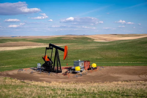 Abóboras Trabalhando Nos Campos Petróleo Alberta Dia Primavera — Fotografia de Stock
