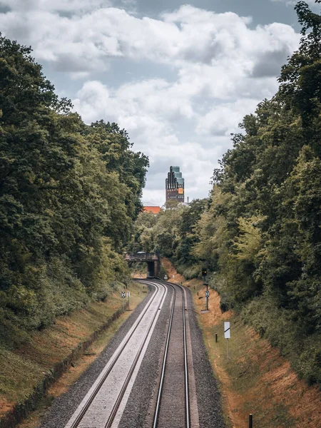 Eine Schöne Vertikale Aufnahme Einer Eisenbahn Umgeben Von Wald — Stockfoto