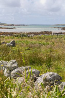 Çimen tarlasında ve ufukta deniz olan devasa taşlarla dikey bir manzara.