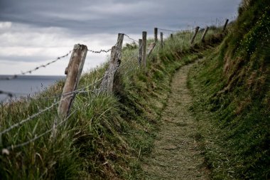Tepede dikenli tellerle kaplı bir yol kenarında bir tahta parçası, İrlanda denizinin arka planında ve bulutlu bir gökyüzünde Ardmore